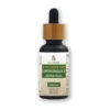 Eco-Herbs L-Glutation GSH Liposomalny Zredukowany 30ml - płynny antyoksydant