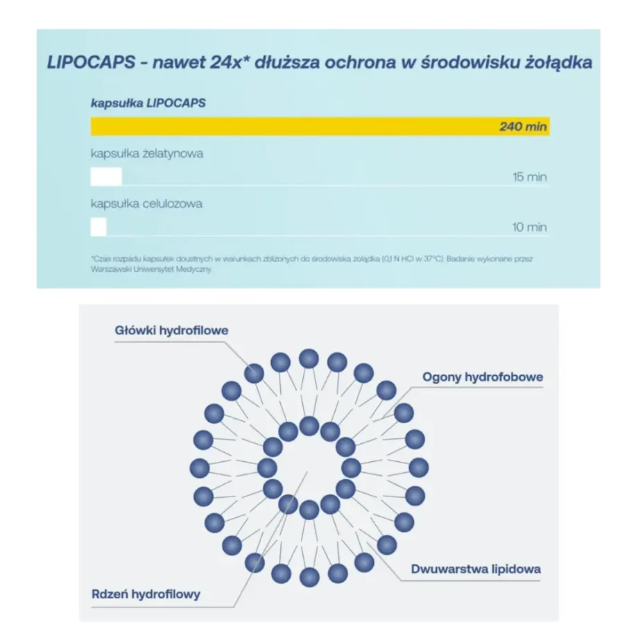 lipocaps c 100 od formeds schemat działania formy liposomalnej