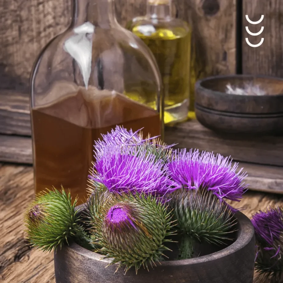 Naturalny olej z ostropestu Zielony Olej w butelce, udekorowany zielenią roślin ostropestu.