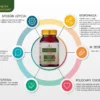 Ulotka z najważniejszymi informacjami o EGCG z cynkiem bio herbs