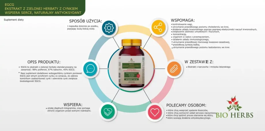 Ulotka z najważniejszymi informacjami o EGCG z cynkiem bio herbs