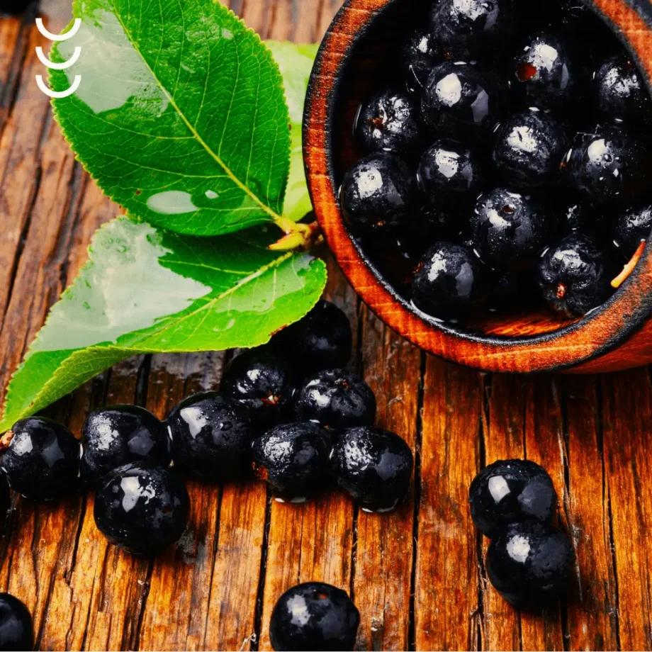 Owoce aronii, które są wykorzystywane do produkcji suplementu błonnik z aronii bioherbs