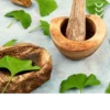 Ucierane liście gingko biloba jako składnik suplementu bio herbs