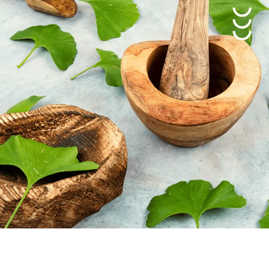 Ucierane liście gingko biloba jako składnik suplementu bio herbs