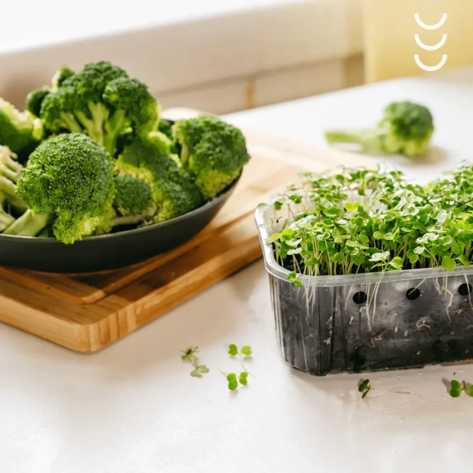 Brokuły i rzeżucha jako źródło sulforafanu - składnika suplementu diety bio herbs