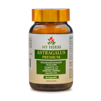 Astragalus my herbs brązowe opakowanie na białym tle e sklepie 3 filaryzdrowia