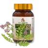 astragalus w słoiczku z gałązkami rośliny