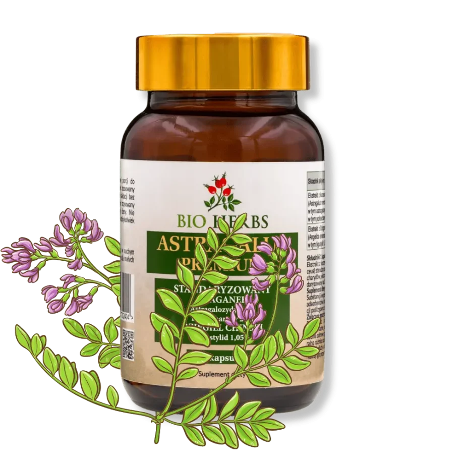 astragalus w słoiczku z gałązkami rośliny