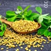 Nasiona kozieradki jako surowiec do produkcji suplementu diety kozieradka bio herbs