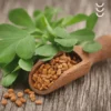Nasiona kozieradki suplementu od bio herbs