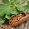 Owoce kozieradki jako głowny składnik suplementu diety osavi - kozieradka 550 mg