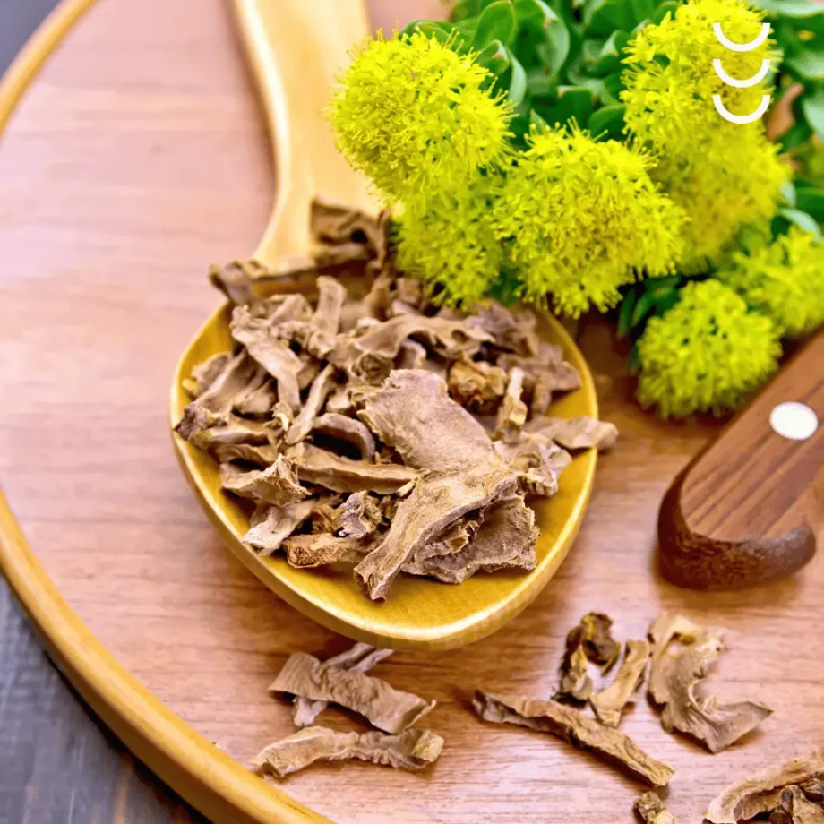 Kwiaty i korzeń rhodiola rosea, jako składnik suplementu diety rhodiola rosea
