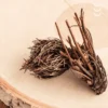 Korzeń rhodiola rosea jako składnik suplementu rhodiola rosea od osavi.
