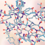 Cytykolina CDP-Cholina na pamięć i regenerację mózgu