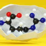 L-arginina pompa mięśniowa i krążenie